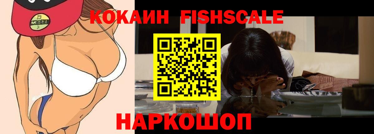 КОКАИН Fish Scale  Кокаин 98%  Рузаевка 